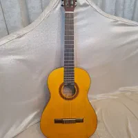 گیتار و کیف