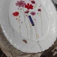 ظروف سرووپذیرایی