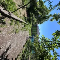 سند-تک-برگ-خانه-باغ
