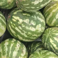 میوه و صیفی جات