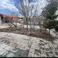نیروی خانم در مرکز سالمندان