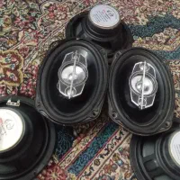 باند پایونر 6995 باندمیدرنج