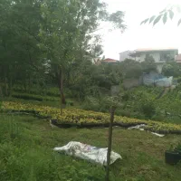 فروش زمین چمران