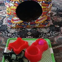 وسایل جانبی سگ