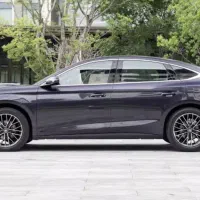 Byd چینل|خودرو سواری و وانت|تهران, اختیاریه|دیوار