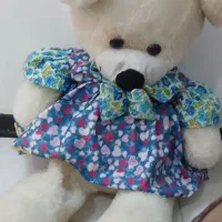عروسک خرسی