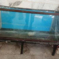آکواریوم شیشه خم
