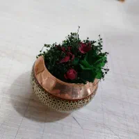 گل آرا حرفه ای دوکار