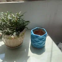 گل وگلدون