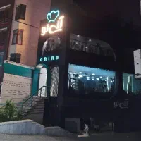 سالنکار ویتر ظرفشور