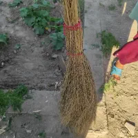 جارو