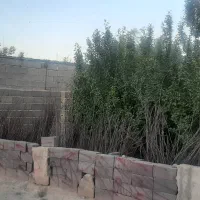 باغ-1000-متری