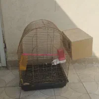 قفس پرنده