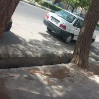 زمین-فروشی