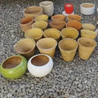 گلدان|گل و گیاه طبیعی|رشت, پیرکلاچای|دیوار