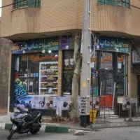 پخش فلش usb عمده و‌ تک زیر قیمت ایران تمام برند ها