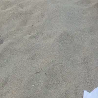 جو بزری درجه یک رقم پابلند