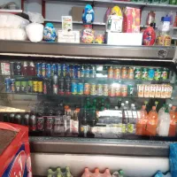 یخچال مغازه یی ‌الکترواستیل