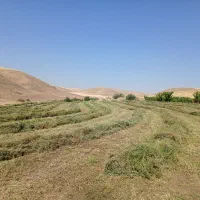 پرس یونجه عالی