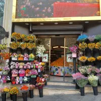 نیروی ماهر در میوه فروشی و بساط چین