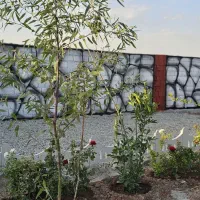 باغچه آماده در رباط کریم رنگ آمیزی شده سند دار