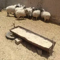 بره کره