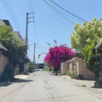 زمین سندار در هادی شهر