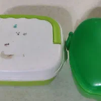 ظرف چاشت مهدکودک
