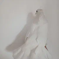 کفتر|پرنده|شهر ری, شهید بهشتی|دیوار