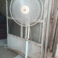 پنکه ایستاده
