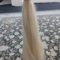 دم اسبی