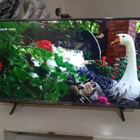 ال ای دی 43 مارک هاردستون هوشمند