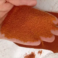 خاکشیر و تخم شربتی