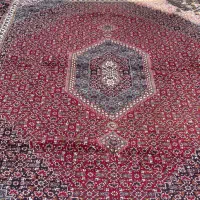 فرش ۱۲ متری ۵۰۰ شانه و ۱۶۰۰