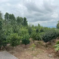 فروش-زمین-تجاری-مسکونی-دربابلسر-سندتک-برگ