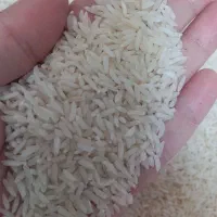 برنج هاشمی درجه یک