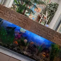 آکواریم خالی و بزرگ طول ۱/۵ عرض ۳۰