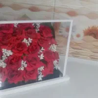 گل نو مناسب هدیه 2میلیون