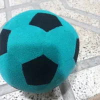 اهدا کننده تخمک