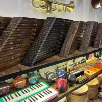 سنتور مبتدی تا حرفه ای با گارانتی