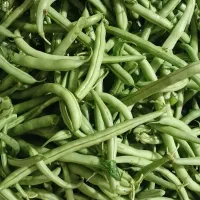 استانبولی