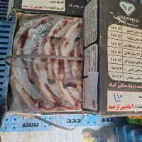 ماهی قزل آلا شکم خالی