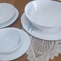 ظروف ۱۲ نفره آرکوپال