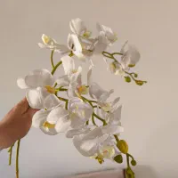 سه شاخه گل ارکیده سفید