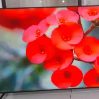 تلویزیون ال ای دی ۶۵ اینج