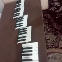 کلاویه ارگ pa600.900.300