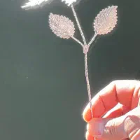 گل نقره