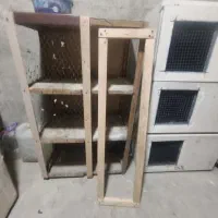 جفت کنی کبوتر