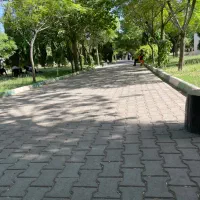 دهکده پزشکان هفت باغ