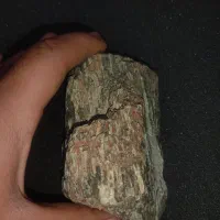 سنگ فسیل چوب